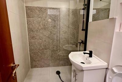 Lacul Tei - Grigore Moisil Inchireiere apartament 2 camere - 2