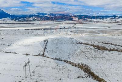 Teren agricol extravilan de 8329 mp, în Glăjărie - 8