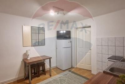 Apartament cu 1 camere de inchiriat in zona Semicentrala - 3