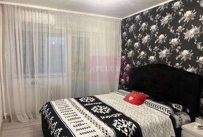 Apartament cu 3 camere decomandat, mobilat în Gorjului - 6