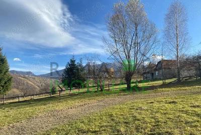 Teren de 1000 mp, în Bran - 2