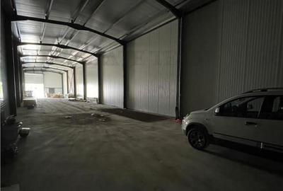 Spațiu comercial, de 435 mp, în Ulmi - 4