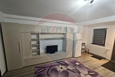 Apartament cu o camera de inchiriat Vlad ?epe? - 8