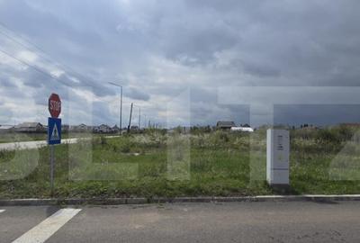 Teren de 5000 mp, în Central