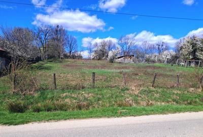 Teren Construcții intravilan de 2592 mp, în Polovragi - 4