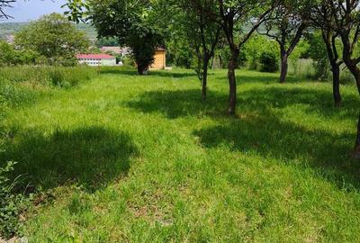 Spațiu comercial, în Central - 3