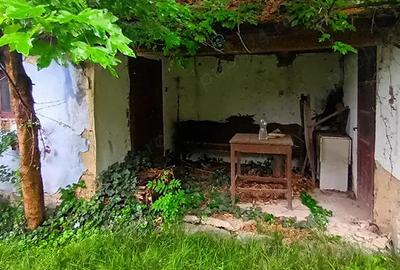 Vand proprietate in Vadu Cri?ului, jud. Bihor - 6