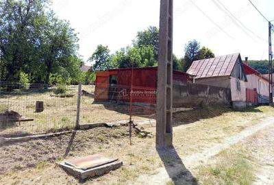 Casă cu Teren 1439 Mp în Anina - 5