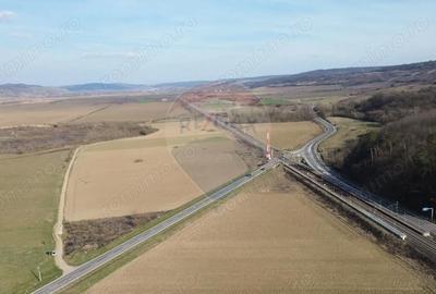 Teren de 19319 mp, în Hoghilag - 3