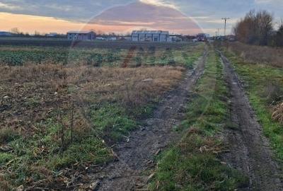 Teren agricol intravilan de 3400 mp, în Sântion - 5