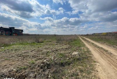 Teren de 855 mp, în Mogoșoaia - 3