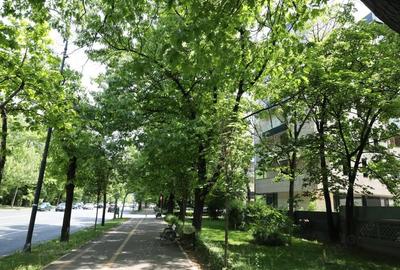 Apartament cu 3 camere în Arcul de Triumf - 1