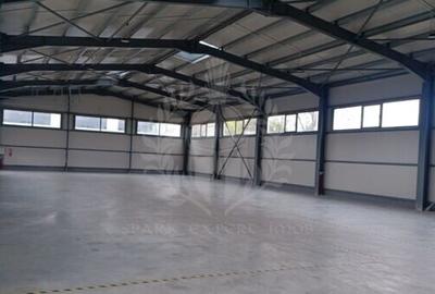 SPATIU DEPOZITARE//PRODUCTIE// STR RUDULUI