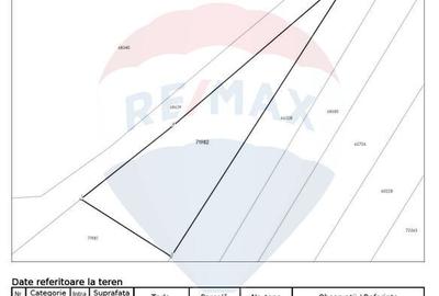 Teren intravilan 1350mp Jucu de Mijloc Casa indi... - 6