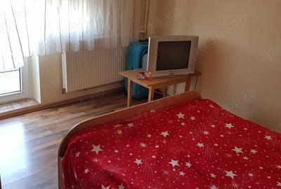 Apartament cu 3 camere decomandat în Calea Aradului - 3
