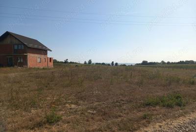 Teren de 9000 mp, în Lămășeni - 3