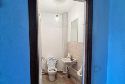 Hala de vanzare, 360 mp, zona Brestei - 2