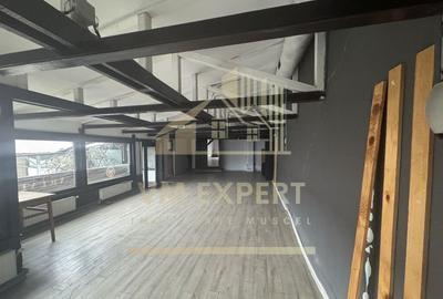 SPATIU COMERCIAL CAMPULUNG ZONA CENTRALA - 17