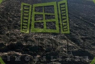 Teren agricol extravilan de 1569 mp, în Exterior Vest - 2