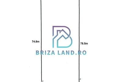 Teren Construcții intravilan de 1516 mp, în Chitila - 3