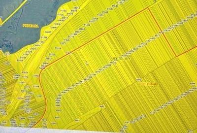 Teren agricol extravilan de 17000 mp, în Priseaca - 1