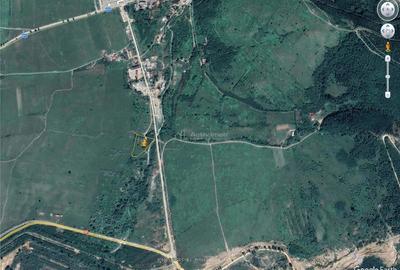 Moldova Noua, Proprietate cu Destinatie Multipla: Hala Productie Procesare a Carnii, Teren Intravila - 16