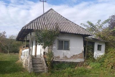 Casă cu 3 camere în Stroești - 1