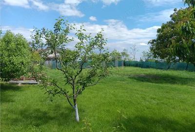 Teren de 800 mp, în Aroneanu - 1