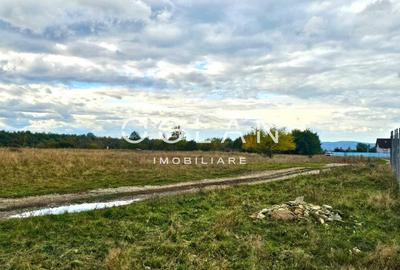 SUPER OFERTA! Teren 2000mp - Valea Avrigului, Sibiu - 8