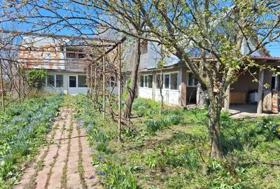 A 24 case 10000 mp teren Seciuieni Bacau - 10