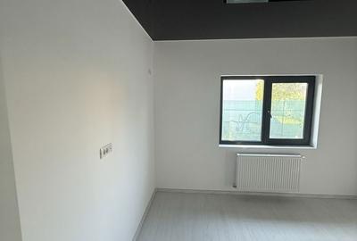 Casă cu 3 camere în Moara Domnească - 1