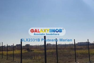 Teren de 1500 mp, în Clinceni - 4