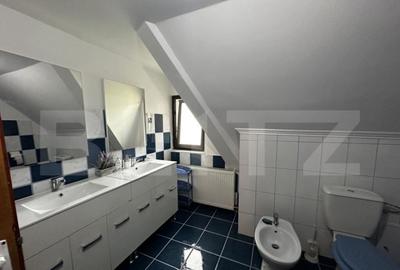 Casă cu 7 camere cu Teren 6000 Mp în Debarcader - 5