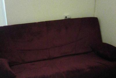 Micsunica, garsonieras mobilata, parter, 250 euro - 5