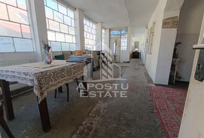 Casa individuala cu teren generos 2158mp, front 12m, livada, Freidorf - 48