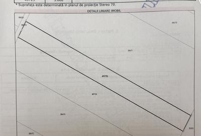 Ghimpati, jud. Giurgiu, 300 m pana la sens giratoriu, benzinaria Petrom - 2