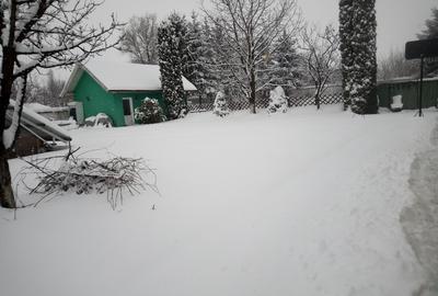 Teren Construcții intravilan de 2300 mp, în Prejmer - 4