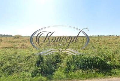 Teren intravilan in Salicea - 3