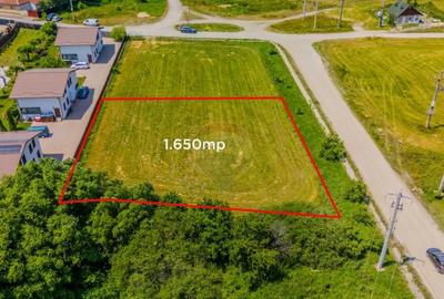 Teren de 1650 mp, în Hărman - 6