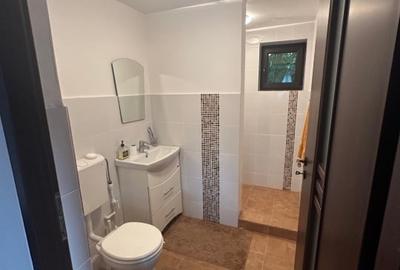 Casă individuală cu 5 camere cu Canalizare în Bozioru - 13