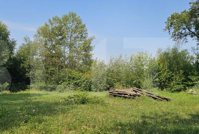 Teren cu casa veche de vanzare - Lisnau Vale, jud. Covasna - 8