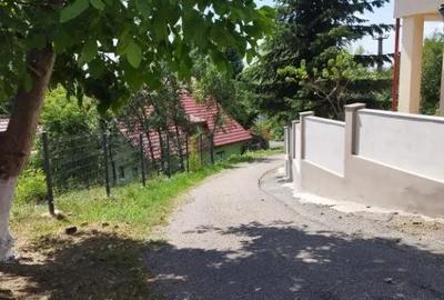 Casă cu 3 camere cu Teren 1400 Mp în Griviței - 5
