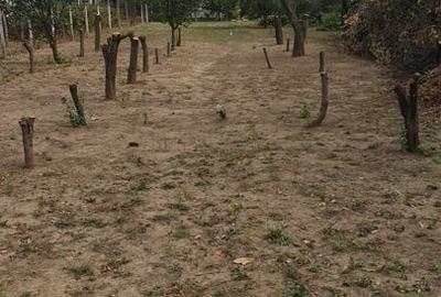 Teren de vânzare Jilava aproape de podul de la Centură, 800 mp, utilitati - 1