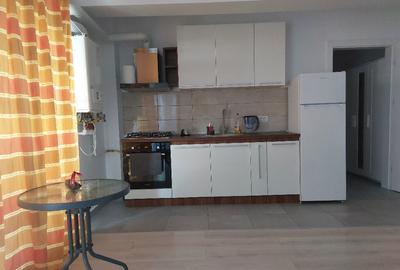 Inchiriere apartament 2 camere centrala termica Parcul Carol Inchiriere apartament 2 camere centrala termica Parcul Carol - 3