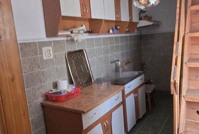 Vanzare proprietate, Teis Dambovita - 10