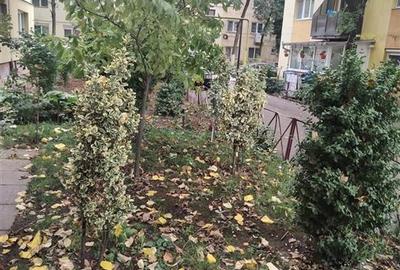 RECO Apartament 3camere la parter - 12