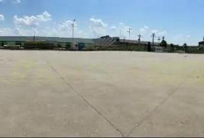 Spațiu comercial, de 600 mp, în Pecica - 13