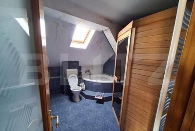 Casa, proprietate pretabila pentru sediu de firma + hala pro - 2