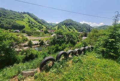 View superb:intravilan,constructie rezidenta/hotel, 2.327 mp,Moieciu de Jos, Bra - 35