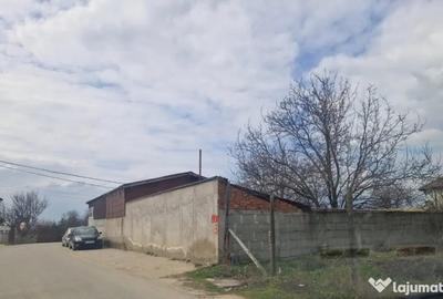 Teren în Malu Mare - 1